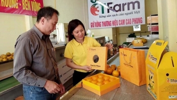 Hòa Bình tìm giải pháp cho sản phẩm mở rộng thị trường, gia tăng giá trị xuất khẩu