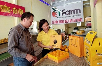 Hòa Bình tìm giải pháp cho sản phẩm mở rộng thị trường, gia tăng giá trị xuất khẩu