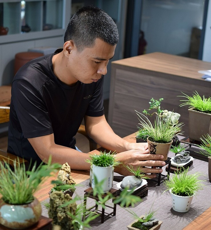 Họa sĩ Bùi Đình Thanh Hải sưu tập thạch xương bồ từ năm 2019.