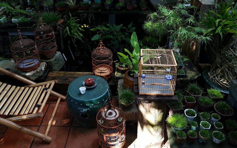 Khu vườn thạch xương bồ cũng là nơi uống trà ưa thích của gia chủ.