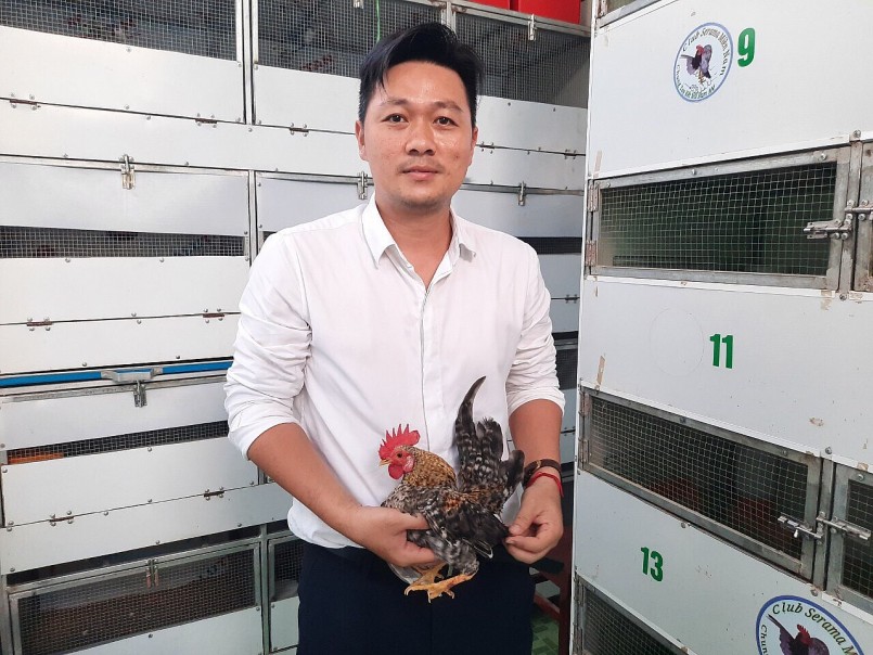 Anh Lâm hiện sở hữu hơn 20 con gà lực sĩ siêu tí hon
