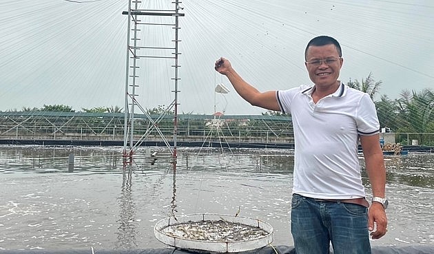 Anh Thủy đang kiểm tra tôm nuôi 30 ngày tuổi tại trang trại nuôi tôm công nghệ cao của gia đình. Anh Thủy đang kiểm tra tôm nuôi 30 ngày tuổi tại trang trại nuôi tôm công nghệ cao của gia đình.