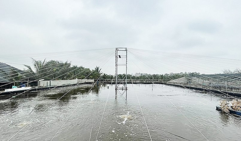 Cơ sơ nuôi tôm thâm canh của anh Thủy được đầu tư xây dựng bài bản. Cơ sơ nuôi tôm thâm canh của anh Thủy được đầu tư xây dựng bài bản.