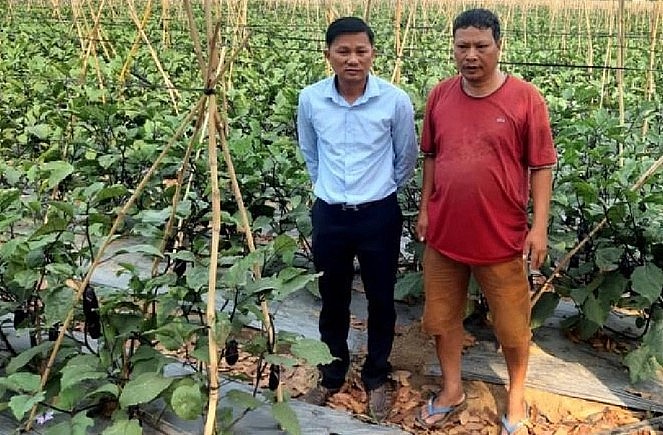 Anh Nguyễn Đức Dũng (phải) và cán bộ Trạm Khuyến nông Ninh Sơn - Bác Ái thăm vườn cà tím. Ảnh: Hoàng Sơn.