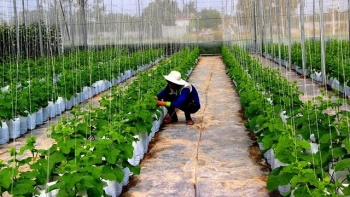 Tây Ninh: Tổ chức diễn dàn kết nối doanh nghiệp đầu tư, phát triển hệ sinh thái nông nghiệp công nghệ cao