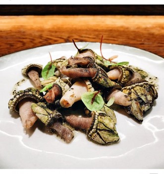 Loài ốc xù xì, xấu xí, giá tiền triệu/kg vẫn được người sành ăn săn lùng