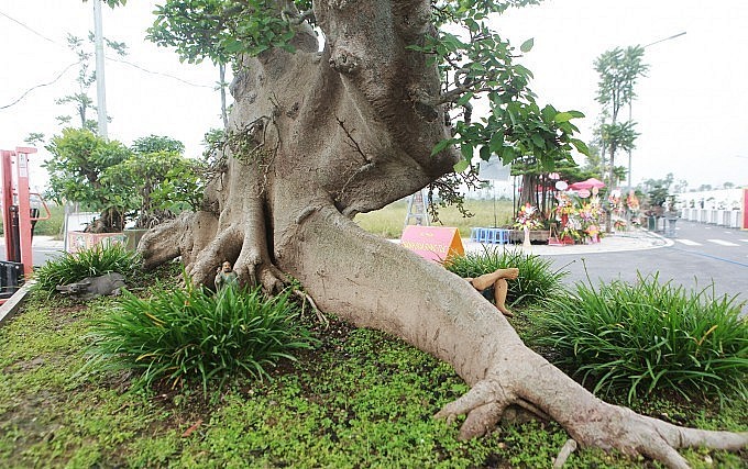 Theo anh Hiệp, ai muôn sở hữu phải thực sự yêu tác phẩm cũng như hiểu được sự vất vả tạo tác của người nghệ nhân trong 20 năm. 