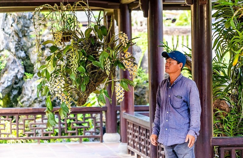 Đại nội Huế được mở cửa miễn phí trong 3 ngày để du khách vào ngắm cây cảnh.