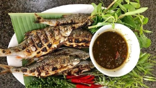 Loại cá được ví như "lộc trời" chỉ có ở Quảng Ngãi, giờ là món đặc sản hạng sang, càng ăn càng mê
