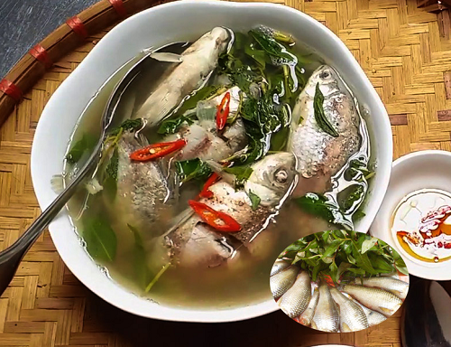 Loại cá được ví như "lộc trời" chỉ có ở Quảng Ngãi, giờ là món đăc sản hạng sang, càng ăn càng mê