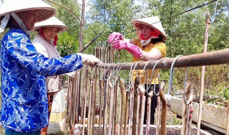 Chị Đào đang tiến hành thành lập Tổ hợp tác để cùng bà con địa phương phát triển sản phẩm từ đặc sản cá lạc.