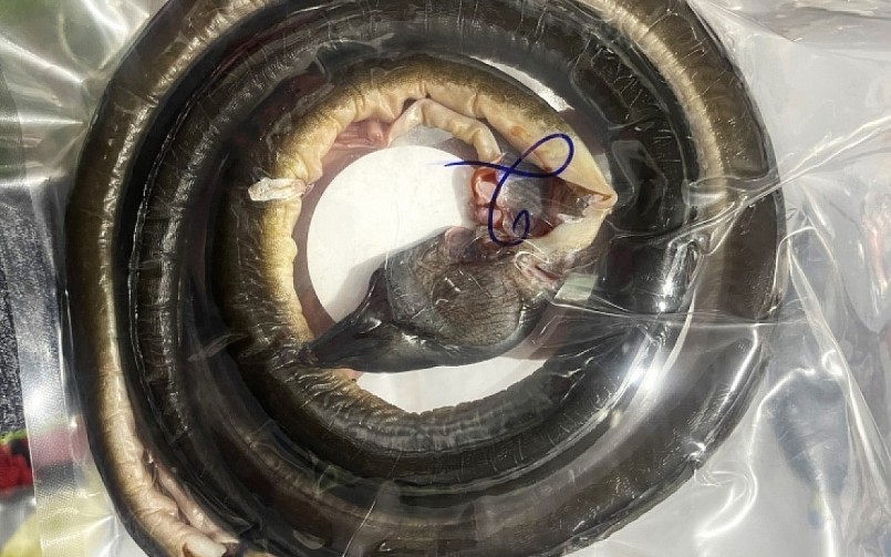 Khô cá lạc một nắng đang có giá từ 700.000 - 1 triệu đồng/kg.