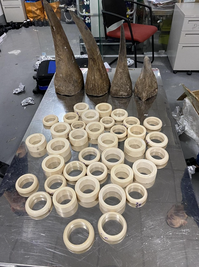 Hà Nội: Phát hiện hành khách mang theo hơn 15kg sừng tê giác và ngà voi nhập cảnh qua Nội Bài