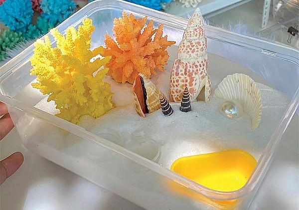 Chuồng nuôi ốc mượn hồn có thể trang trí đủ màu sắc.