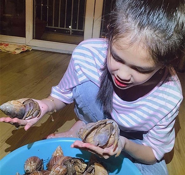 Kim Phụng kinh doanh loại ốc này từ năm 12 tuổi, đến nay mở rộng kinh doanh và thu lại lợi nhuận kha khá.