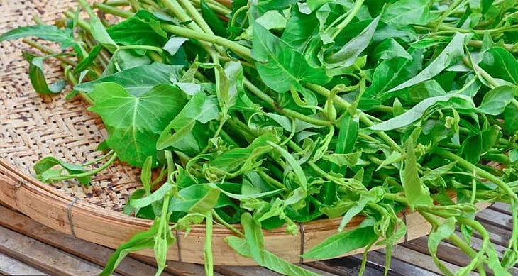 Ở bang Georgia, đông nam nước Mỹ, rau muống từng bị coi là bất hợp pháp.