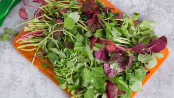 Sai lầm khi ăn rau dền cần phải tránh