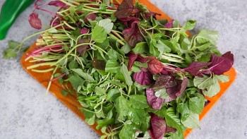 Sai lầm khi ăn rau dền cần phải tránh