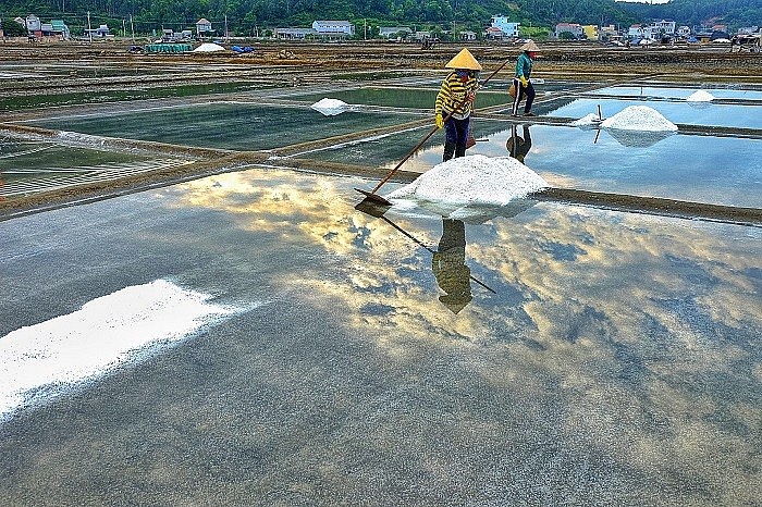 Người dân Sa Huỳnh thu hoạch muối