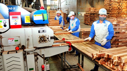 Quyết liệt tháo gỡ khó khăn, thúc đẩy sản xuất, xuất khẩu lâm sản và thuỷ sản