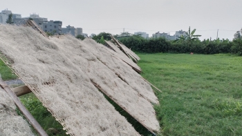 Làng cổ Cự Đà với nghề làm miến trứ danh