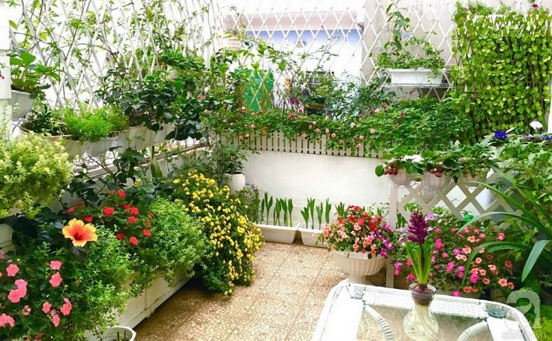 Cách chắc chắn nhất để tăng năng suất từ một vườn rau là giảm khoảng cách giữa các cây. 