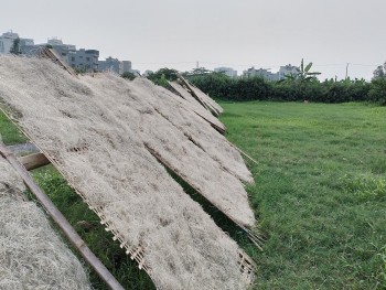 Làng cổ Cự Đà với nghề làm miến trứ danh