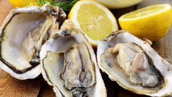 Ăn hàu nhiều có tốt không?
