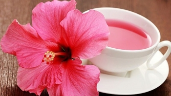 Hoa dâm bụt giúp hạ huyết áp, bảo vệ tim mạch