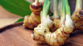 Loại củ gia vị bị chê có vị cay không ngờ có công dụng tuyệt vời đối với sức khoẻ, đặc biệt là chống ung thư