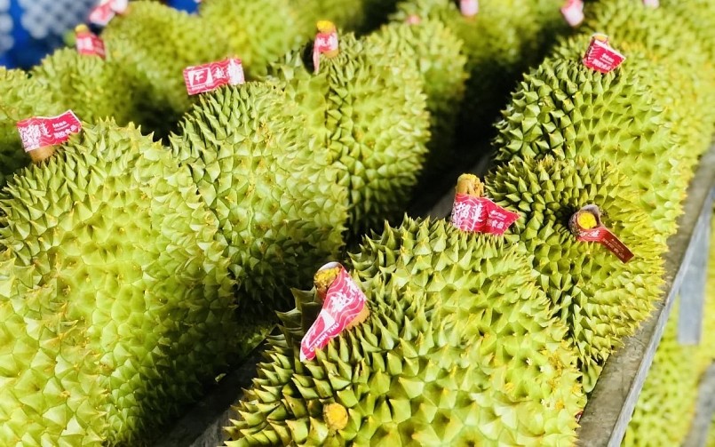 đối tác Trung Quốc đang không còn mua ồ ạt như trước đó.