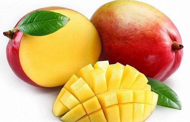 Xoài đỏ Nhật Bản vừa đẹp vừa thơm ngon nên được rất nhiều người tìm mua.