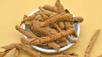 Tác dụng của địa cốt bì