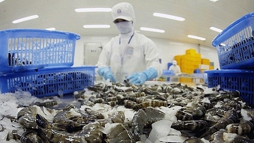 Xuất khẩu tôm của Việt Nam sang Mỹ có thể “ấm lên” sau quý II