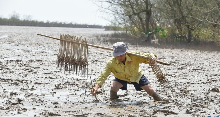 Để bắt được loài cá này, ngư dân xã Đa Lộc (huyện Hậu Lộc) đã “chế tạo” những chiếc bẫy kẹp, cắt chai, lọ nhựa để dụ cá tới, những người phụ nữ thì đi đào hang để bắt cá