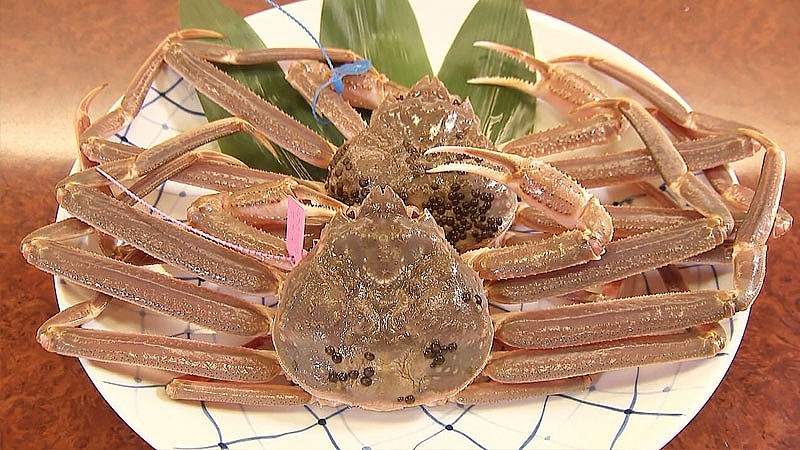 Cua tuyết được biết đến là một loài cua biển có tên khoa học là Chionoecetes Opilio