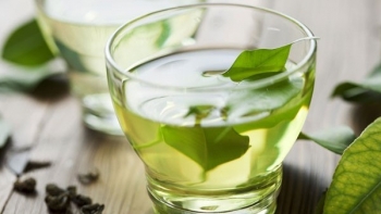 Uống nước lá vối thế nào cho đúng?