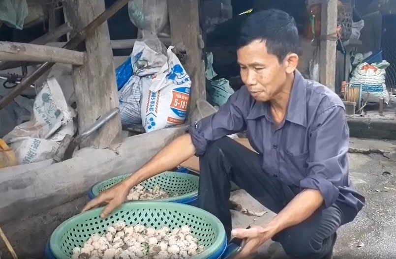 Ốc nhồi thường đẻ trứng từ tháng 3 đến tháng 10 Âm lịch hàng năm.