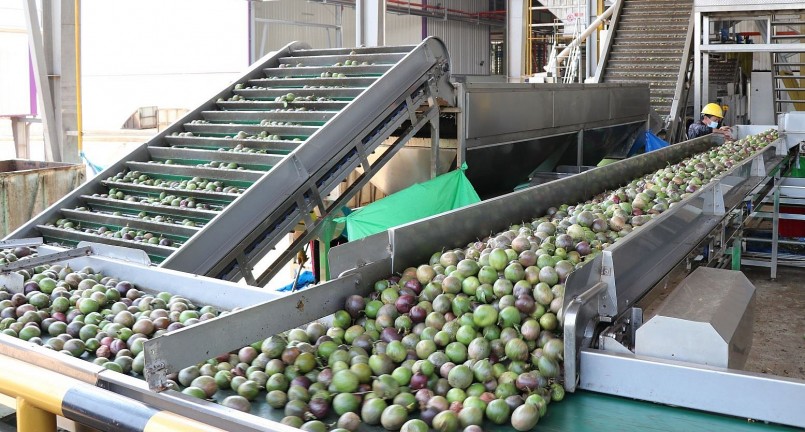 Dây chuyền sản xuất chanh leo của Công ty TNHH Quicornac (tại xã Trà Đa, thành phố Pleiku, tỉnh Gia Lai).