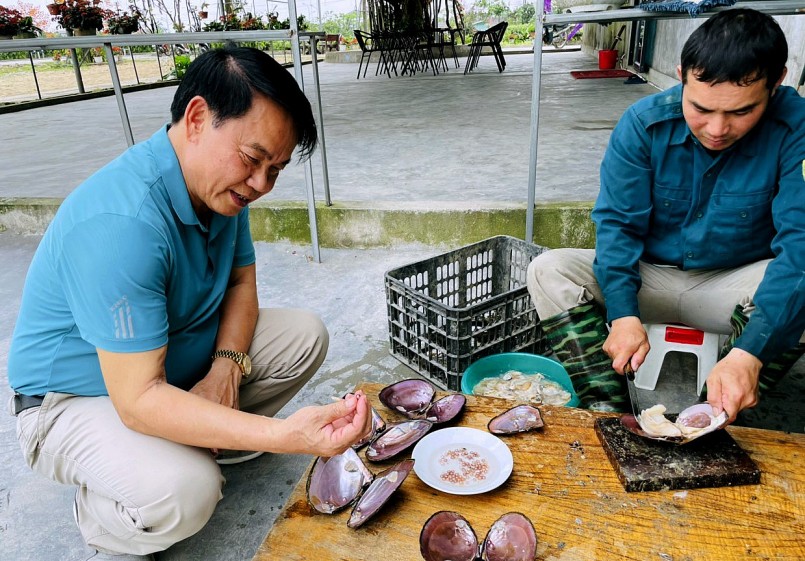 Kiểm tra chất lượng viên ngọc được lấy ra từ con trai nuôi dưới hồ của gia đình chị Trang.