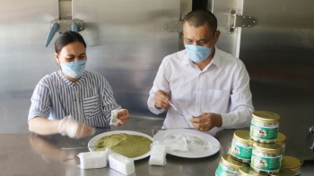 Người chế biến thành công hoa đu đủ đực thành trà dược liệu