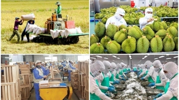 Xuất khẩu nông lâm thủy sản 4 tháng giảm 13%