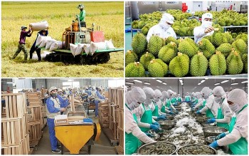 Xuất khẩu nông lâm thủy sản 4 tháng giảm 13%