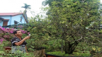 Kỳ nhân xứ đào biến đồi cằn thành trang trại vạn hoa không hổ danh "bàn tay phù thủy"