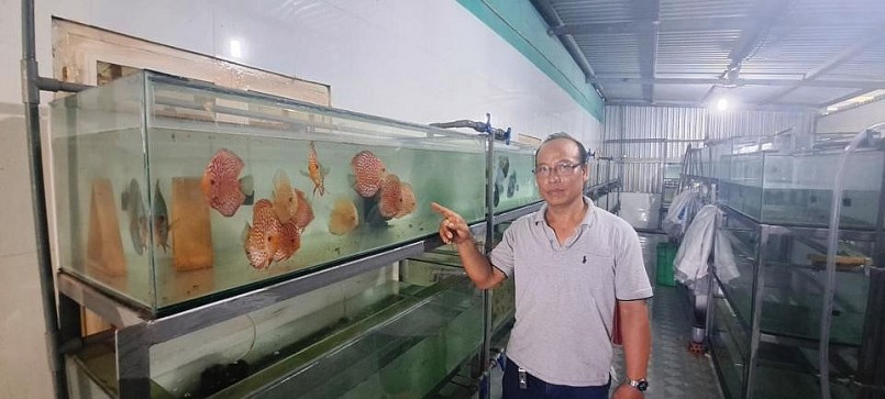 Mô hình nuôi cá của anh Cường có di1.300 m2ện tích 