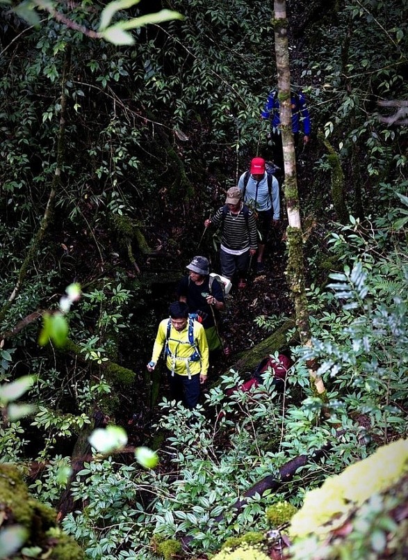 Hệ sinh thái trong rừng còn nguyên vẹn vì chưa chịu nhiều sự tác động của con người. Đồng bào Cơ Tu ở đây sống dựa vào rừng nhưng chỉ lấy từ rừng những thứ họ cần và vừa đủ cho cuộc sống hằng ngày.