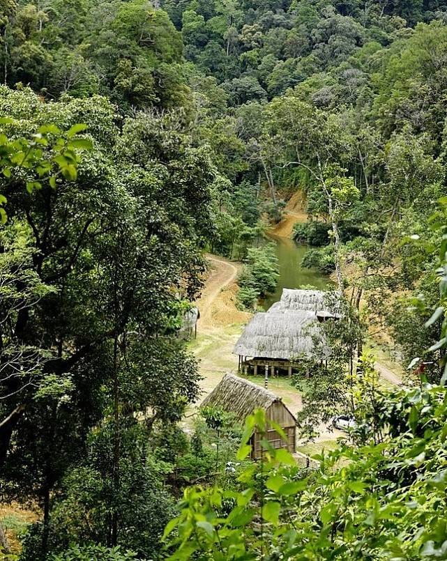 Giữa rừng có một thung lũng nhỏ là nơi sinh sống của vài hộ dân Cơ Tu.