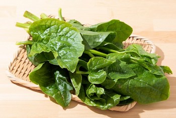 Mồng tơi, thứ "rau vua" của ngày hè nhưng người bị sỏi thận không nên ăn