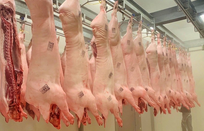 Giá heo hơi hôm nay (06/5), lượng heo về chợ thời gian qua giảm còn một nửa.