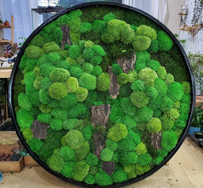 Thất nghiệp vì Covid đi nghịch rêu tạo ra dòng tranh độc đáo giá trị cả gia tài